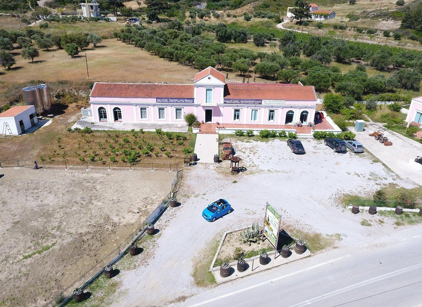 Rhodos: Rundvisning på vingård og vinsmagning