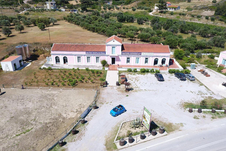 Rodas: Visita a Bodegas y Degustación