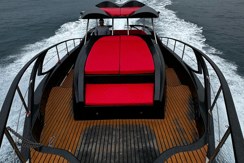 Paphos: Sea Safari Cruise with Blue Marlin Trimaran Yacht