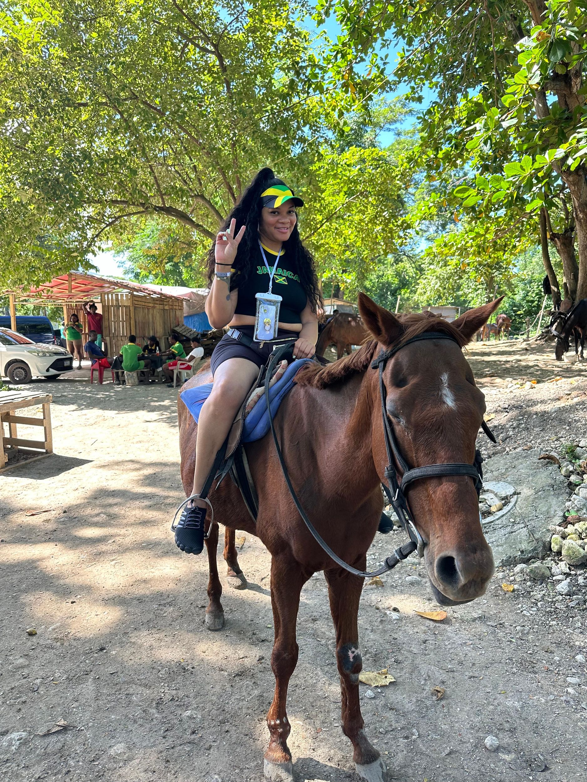 Seilrutsche, Ausritt und Ricks Café ab Montego Bay