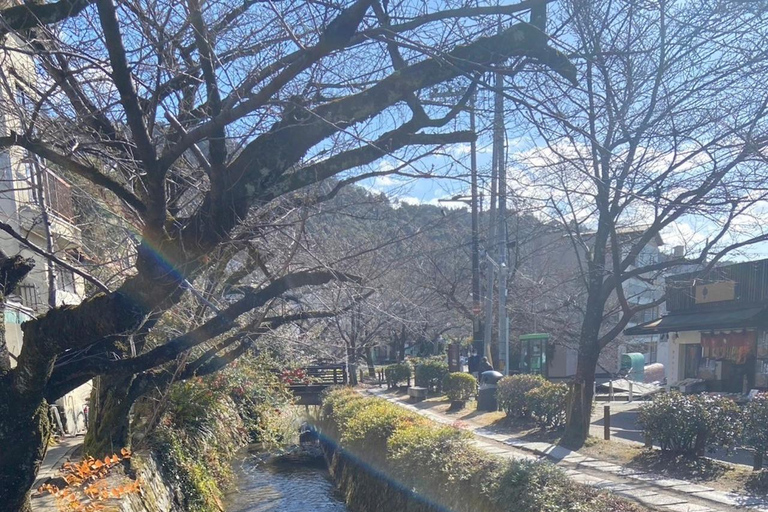 E-Bike Tour in Kyoto with Asuka, Japanese graduate student