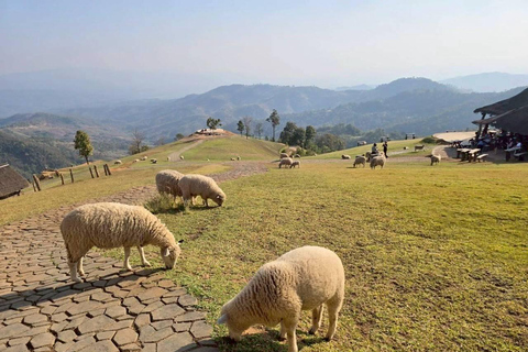 Da Chiang Rai a Chiang Mai: tour panoramico privatoDa Chiang Rai a Chiang Mai: tour privato con trasferimento panoramico