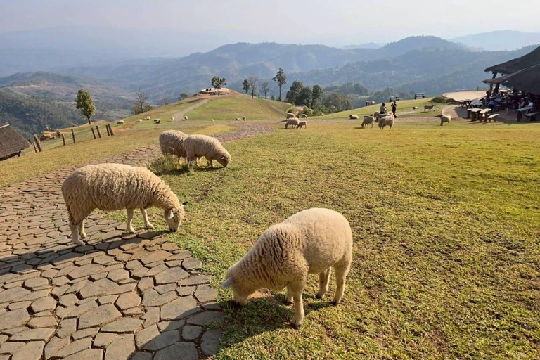 Da Chiang Rai a Chiang Mai: tour panoramico privatoDa Chiang Rai a Chiang Mai: tour privato con trasferimento panoramico