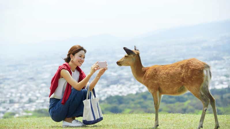 Nara Deer Park, Uji Matcha & Optional Onsen One-Day Tour