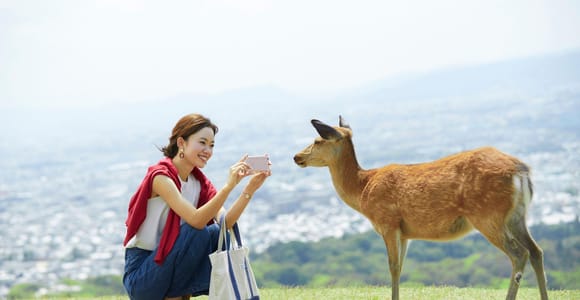 Nara Deer Park, Uji Matcha & Optional Onsen One-Day Tour