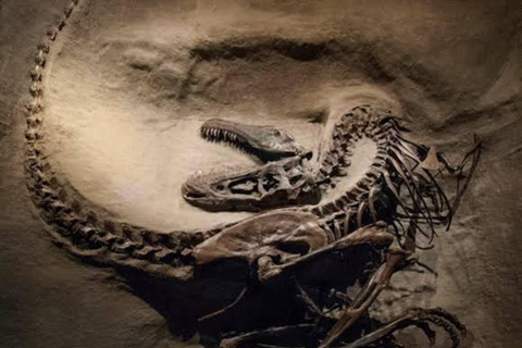 From Calgary: Drumheller Day Tour with Museum Entry