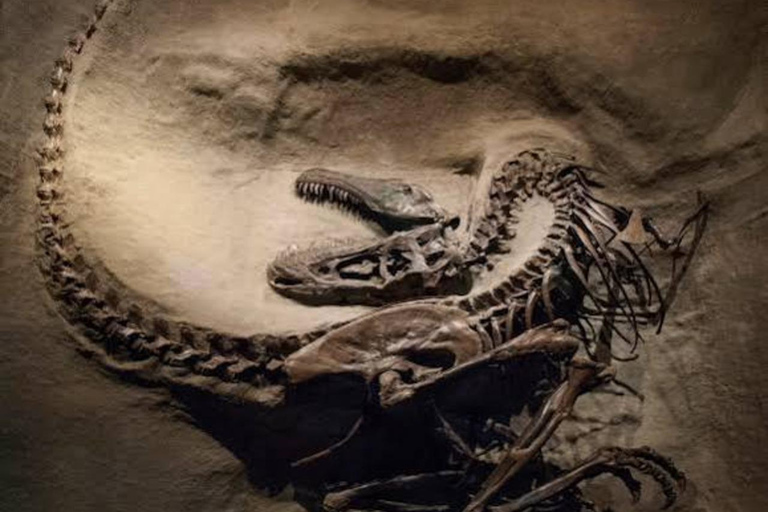 From Calgary: Drumheller Day Tour with Museum Entry