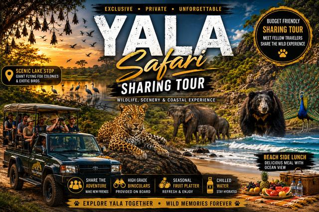 Yala Shared Safari: 7 & 12 Hour Leopard Tracking Tour