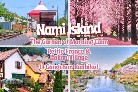 Séoul : L'île de Nami avec Korea Garden & Petite France