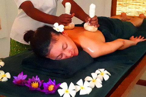 Bentota: Ayurveda-dagbehandeling en riviersafari door de mangrovenOphalen in Colombo en Negombo