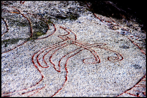 From Stockholm: Enköping, Petroglyphs and Viking 8h Day Tour Private tour - multiple languages possible