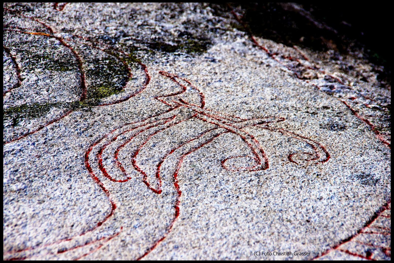 From Stockholm: Enköping, Petroglyphs and Viking 8h Day Tour Private tour - multiple languages possible