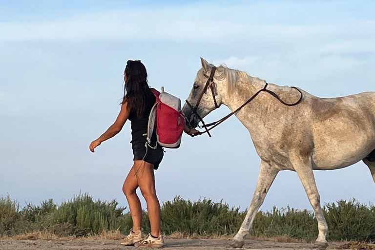 Montpellier : Birdwatching by kayak in Camargue