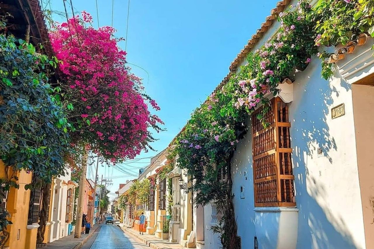 Cartagena: Private Cultural & Historical City Tour