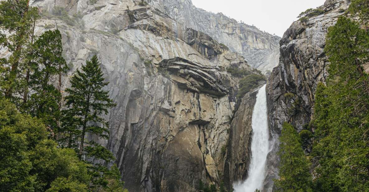 De São Francisco: Viagem Guiada de 1 Dia ao Parque Yosemite