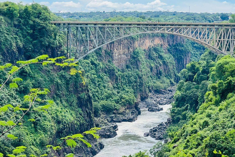 Tour guidato delle Cascate Vittoria lato Zambia