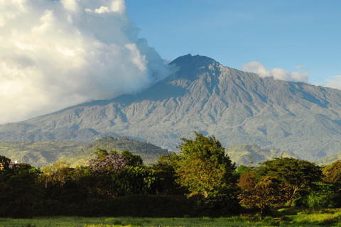 Arusha : excursion dans le parc national d'Arusha