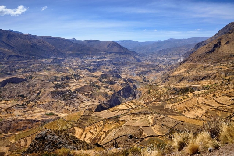 Excursion to the Colca Canyon ending in Puno