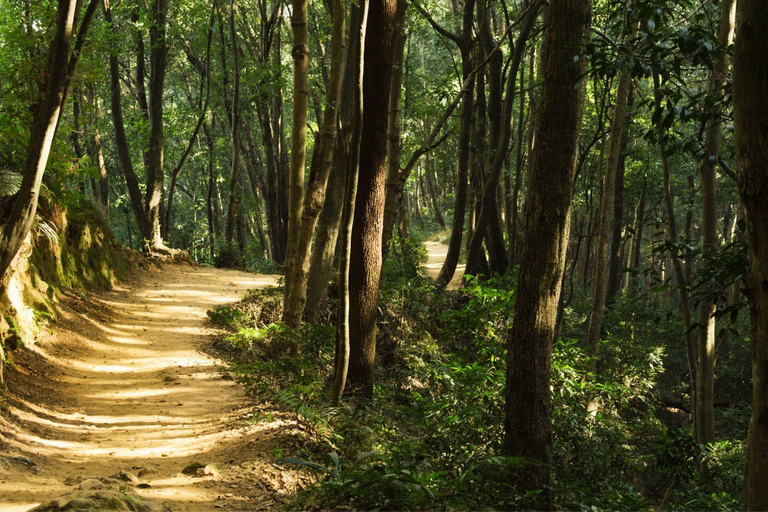 Kathmandu Wellness Escape: Kakani Yoga & Farm Visit