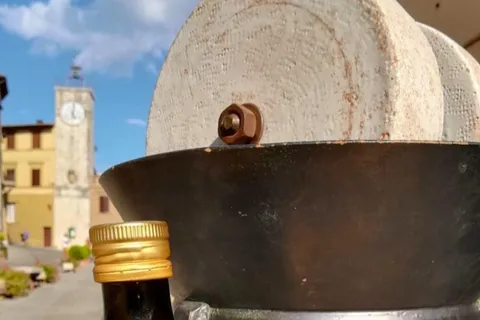 Chianciano: visita ao moinho de azeite com degustação de azeite e comida
