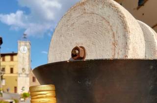 Olivenmühlen-Tour mit Öl- und Lebensmittelverkostung in Chianciano