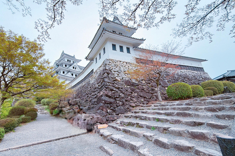 Gujo Hachiman Day Trip: Mountain Castle & Traditional Town The popular Gujyo town tour
