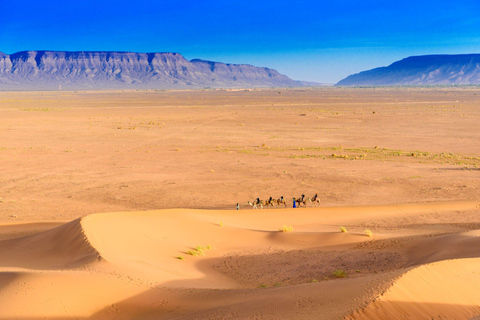 Desde Agadir o Taghazout Excursión de 2 días a Zagora por el desierto del Sáhara