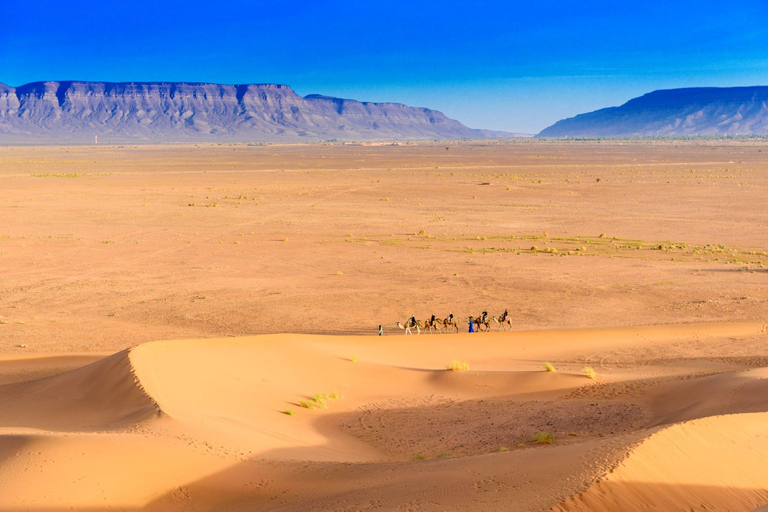 Desde Agadir o Taghazout Excursión de 2 días a Zagora por el desierto del Sáhara