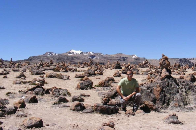 From Arequipa: Colca Canyon Day Trip with Buffet Meals