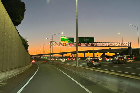 Auckland City To Auckland Airport Premium Transfer