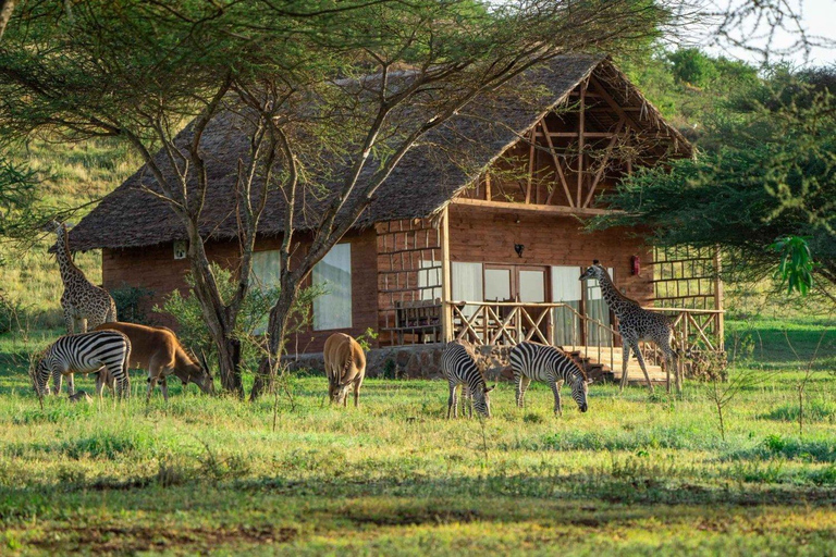 Arusha: Excursión de un día al Parque Nacional del Kilimanjaro con gatos serval