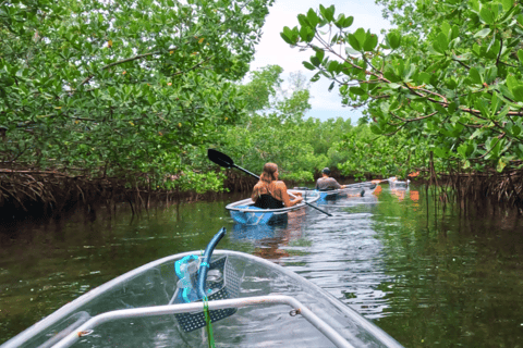 Sarasota: Clear Kayak Beach Hopping and Mangrove Tunnel Tour