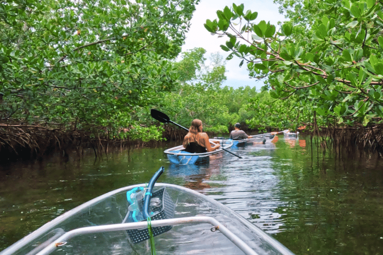Sarasota: Clear Kayak Beach Hopping and Mangrove Tunnel Tour