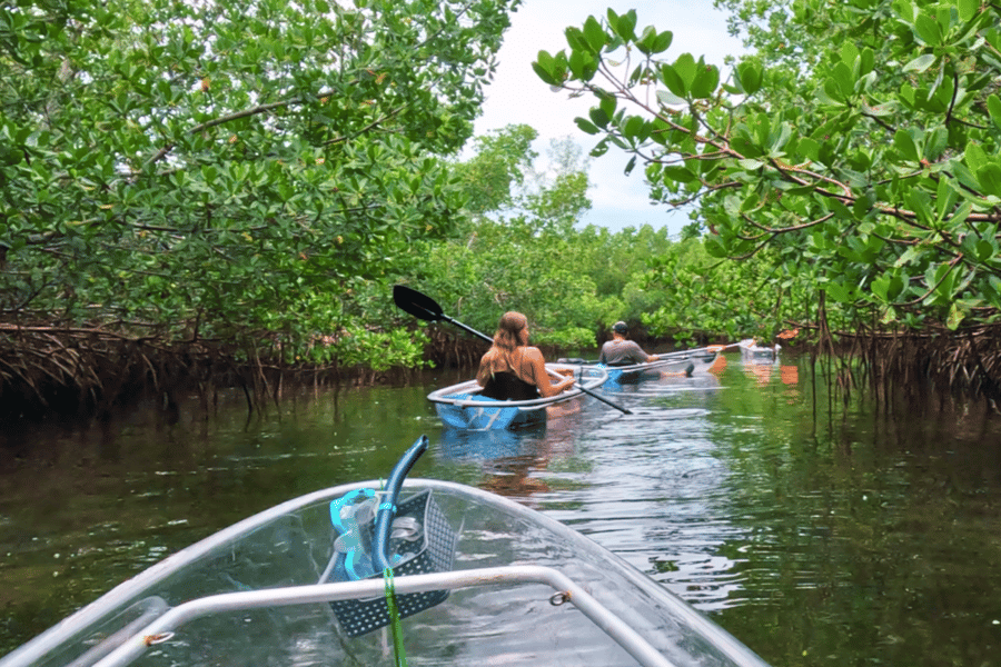 Sarasota: Clear Kayak Beach Hopping and Mangrove Tunnel Tour. Foto: GetYourGuide Sarasota: Clear Kayak Beach Hopping and Mangrove Tunnel Tour. Foto: GetYourGuide