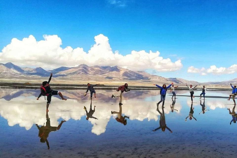 Giornata intera | Laguna di Salinas | Arequipa