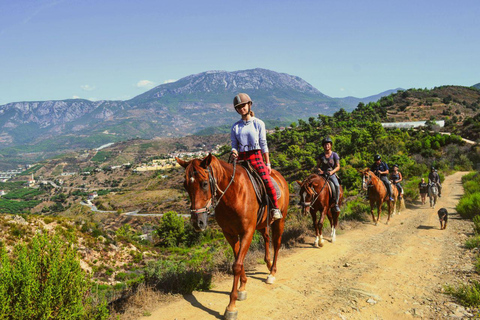 Alanya: Unique Horse Safari Experience in the Taurus Mountains with Transport Alanya: Unique Horse Safari Experience in the Taurus Mountains + Transfer