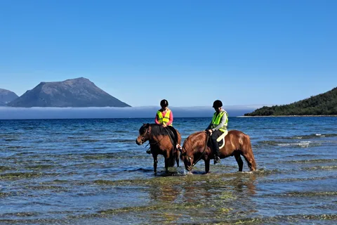 Tromsø: Experiencia de montar a caballo en verano en Lyngen