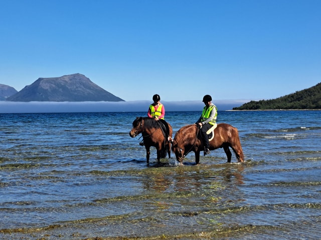 Tromsø: Lyngen Horseback Riding Experience