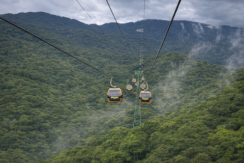 Da Nang: My Son Sanctuary & Golden Hands Bridge Private Tour