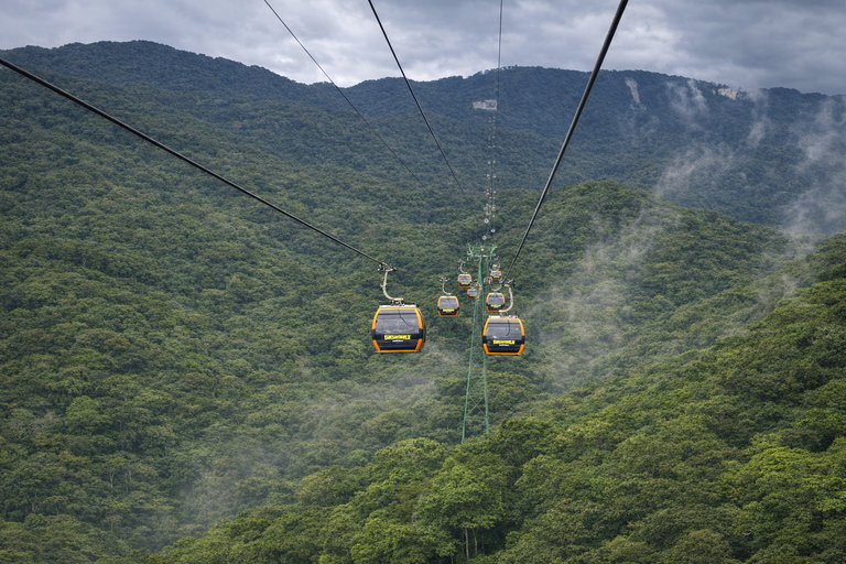Da Nang: My Son Sanctuary & Golden Hands Bridge Private Tour