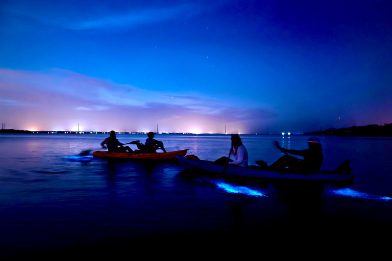 Merritt Island: Small-Group Clear Kayak Bioluminescence Tour
