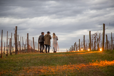 私人 Bodega Gamboa 葡萄酒品尝之旅（含午餐）布宜诺斯艾利斯的私人导游
