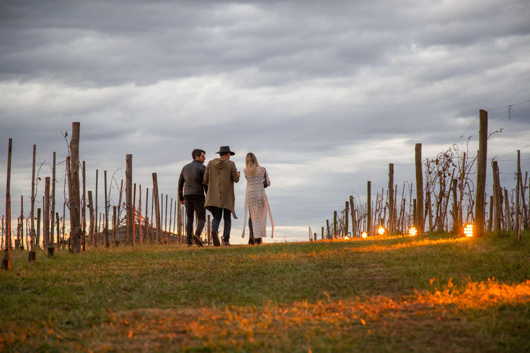 私人 Bodega Gamboa 葡萄酒品尝之旅（含午餐）布宜诺斯艾利斯的私人导游