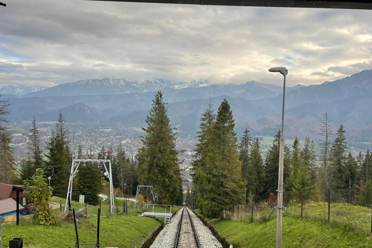 Krakow: Zakopane Buggy, Quad or Snowmobile Tour & Treetop Tour + Buggy for 2 people