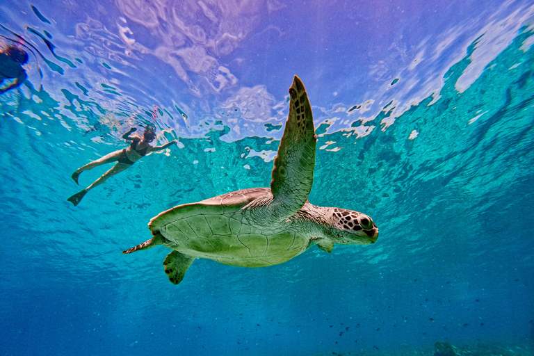 From Gili Air : Private or Shared Snorkeling boat trip Private 4-Hour Tour with Gili Air Meeting Point