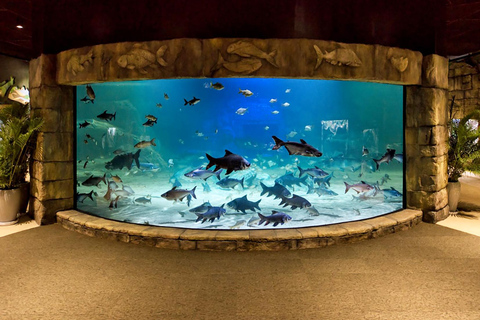 Siem Reap: Angkor Wildlife & Aquarium Entrance Ticket