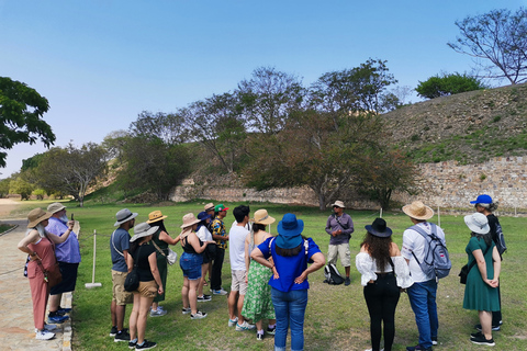 Visite guidée d&#039;une journée sur la route du Monte AlbanBillets et repas inclus