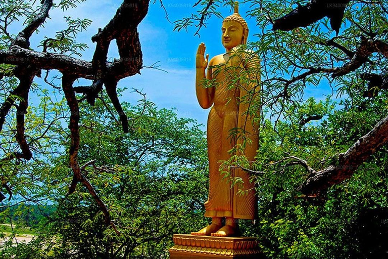 Day Tour: Trincomalee to Arugam Bay