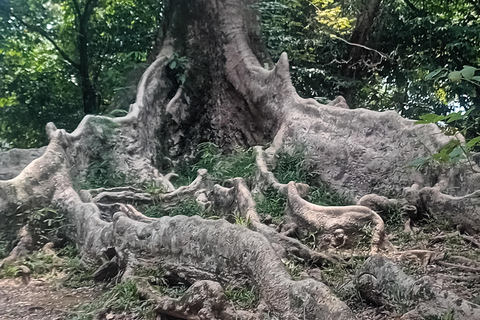 Bogor Botanical Garden and Domas Megalithic Site Tour