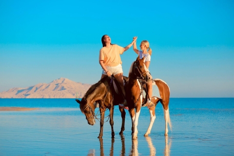 Sharm El Shiekh Strand & Wüste Reiten Tour2-stündige Strand- und Wüsten-Reittour